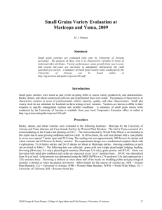 Small Grains Variety Evaluation at Maricopa and Yuma, 2009  Summary