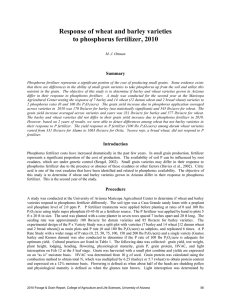 Response of wheat and barley varieties to phosphorus fertilizer, 2010  Summary