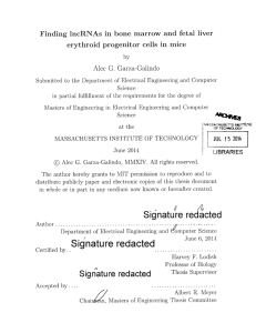 Finding  lncRNAs  in  bone  marrow  and... erythroid progenitor  cells  in  mice G.