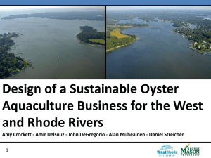 Design of a Sustainable Oyster Aquaculture Business for the West