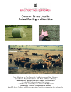 Common Terms Used in Animal Feeding and Nutrition