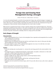 Forage Use and Grazing Herd Management During a Drought