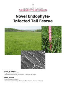 Novel Endophyte- Infected Tall Fescue