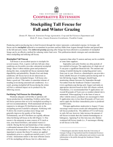 Stockpiling Tall Fescue for Fall and Winter Grazing