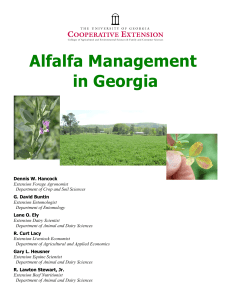 Alfalfa Management in Georgia