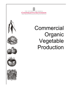 Commercial Organic Vegetable Production