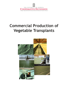 Commercial Production of Vegetable Transplants 1