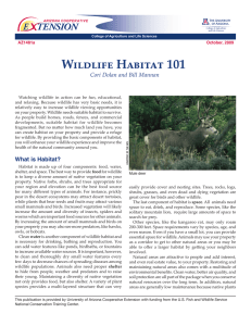 Wildlife Habitat 101 E    TENSION