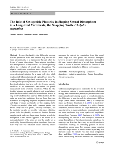 The Role of Sex-specific Plasticity in Shaping Sexual Dimorphism