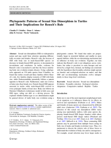 Phylogenetic Patterns of Sexual Size Dimorphism in Turtles Claudia P. Ceballos