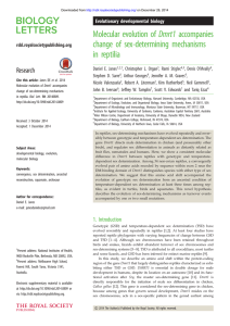 Molecular evolution of Dmrt1 accompanies change of sex-determining mechanisms in reptilia Research