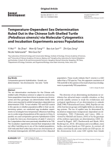 Temperature-Dependent Sex Determination Ruled Out in the Chinese Soft-Shelled Turtle (Pelodiscus sinensis)