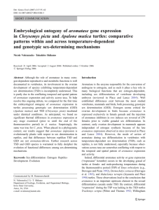 aromatase gene expression Embryological ontogeny of