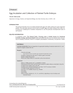 Egg Incubation and Collection of Painted Turtle Embryos Protocol Nicole Valenzuela INTRODUCTION