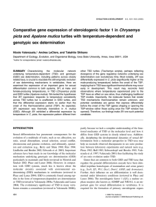 Comparative gene expression of steroidogenic factor 1 in Chrysemys