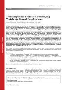 Transcriptional Evolution Underlying Vertebrate Sexual Development REVIEWS