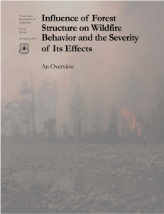 Influence of  Forest Structure on Wildfire Behavior and the Severity