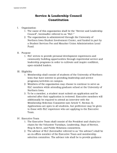 Service &amp; Leadership Council Constitution