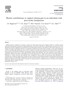 Muscle contributions to support during gait in an individual with