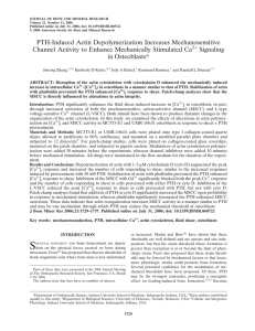 PTH-Induced Actin Depolymerization Increases Mechanosensitive