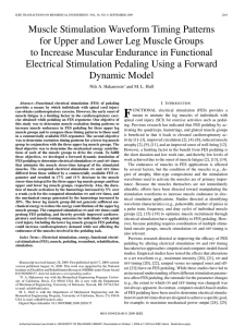 Muscle Stimulation Waveform Timing Patterns to Increase Muscular Endurance in Functional