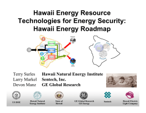 Hawaii Energy Resource Technologies for Energy Security: Hawaii Energy Roadmap Terry Surles