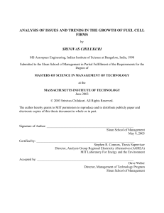 ANALYSIS OF ISSUES AND TRENDS IN THE GROWTH OF FUEL... FIRMS SRINIVAS CHILUKURI