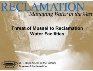 Threat of Mussel to Reclamation Water Facilities