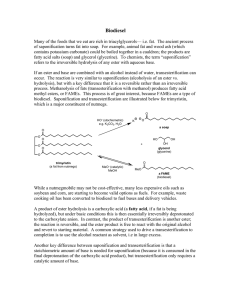 Biodiesel