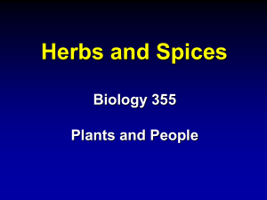 Herbs and Spices Biology 355 Plants and People