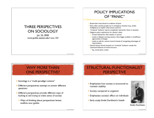POLICY IMPLICATIONS OF “PANIC” THREE PERSPECTIVES