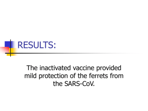 RESULTS: The inactivated vaccine provided mild protection of the ferrets from the SARS-CoV.