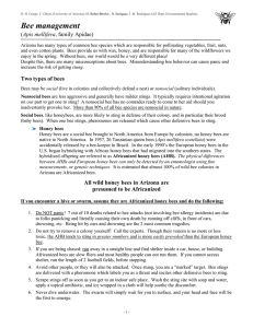 Bee management Apis mellifera