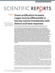 Ocean acidification increases copper toxicity differentially in two key marine invertebrates with
