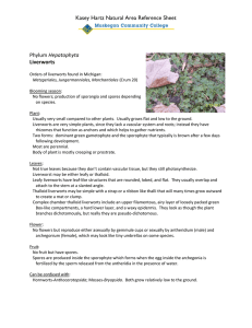 Kasey Hartz Natural Area Reference Sheet Hepatophyta Liverworts