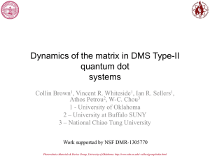 Dynamics of the matrix in DMS Type-II quantum dot systems