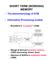 SHORT TERM (WORKING) MEMORY The phenomenology of STM Information-Processing models