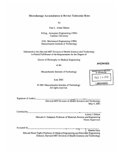 Microdamage  Accumulation in Bovine  Trabecular Bone