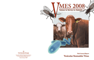 V MES 2008 Vesicular Stomatitis Virus Science in Service to Animals