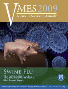 V 2009 Swine Flu The 2009-2010 Pandemic