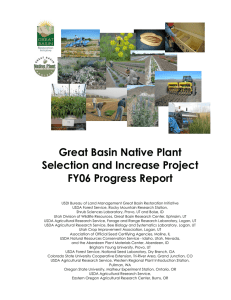 Great Basin Native Plant Selection and Increase Project FY06 Progress Report