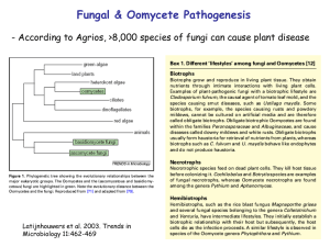 Fungal &amp; Oomycete Pathogenesis Latijnhouwers et al. 2003. Trends in Microbiology 11:462-469