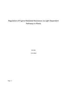   Regulation of R‐gene Mediated Resistance via Light Dependent  Pathways in Plants  PLP 692 