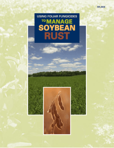RUST SOYBEAN MANAGE