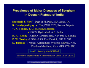 Prevalence of Major Diseases of Sorghum in Deccan Plateau of India