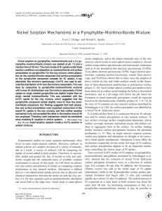Nickel Sorption Mechanisms in a Pyrophyllite–Montmorillonite Mixture