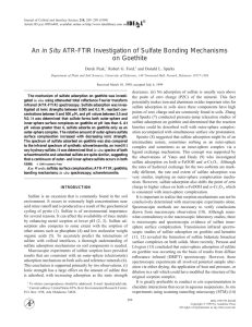 in Situ on Goethite Derek Peak, Robert G. Ford,