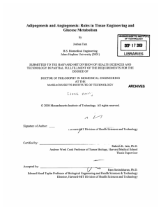 RIES2009 rr Adipogenesis  and Angiogenesis:  Roles  in Tissue ... Glucose  Metabolism