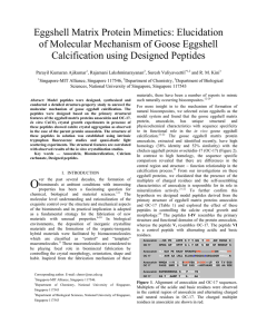 Eggshell Matrix Protein Mimetics: Elucidation of Molecular Mechanism of Goose Eggshell