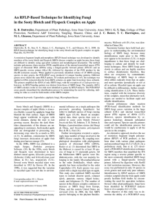 An RFLP-Based Technique for Identifying Fungi K. B. Duttweiler, M. L. Gleason,